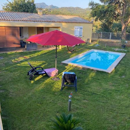 Agreable Rez De Jardin Avec Piscine Et Jacuzzi Leilighet Cervione Eksteriør bilde