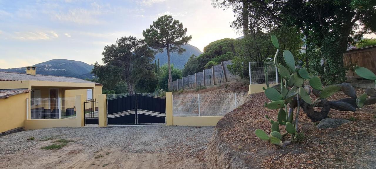 Agreable Rez De Jardin Avec Piscine Et Jacuzzi Leilighet Cervione Eksteriør bilde