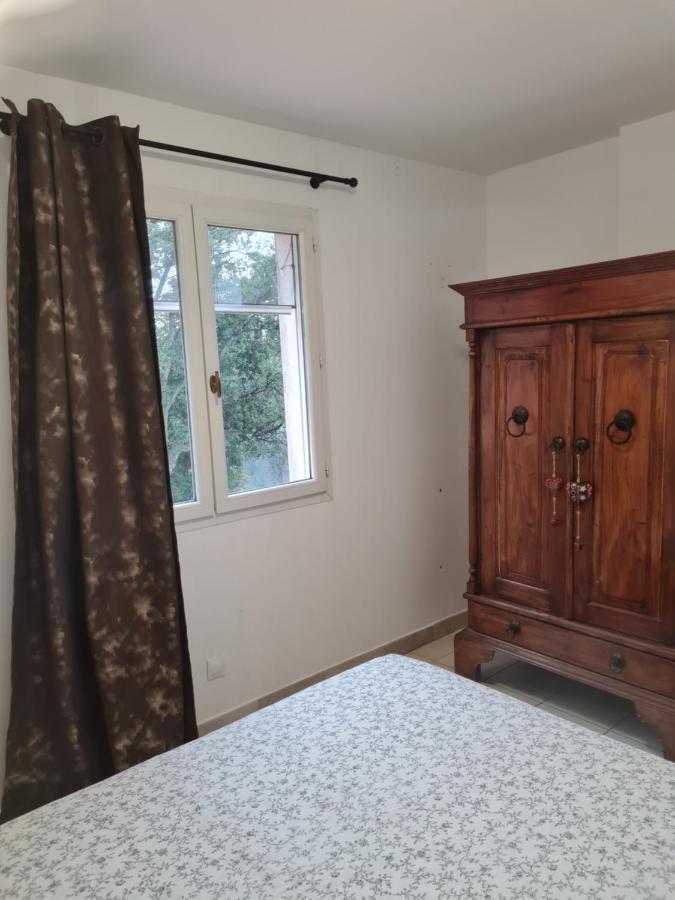 Agreable Rez De Jardin Avec Piscine Et Jacuzzi Leilighet Cervione Eksteriør bilde